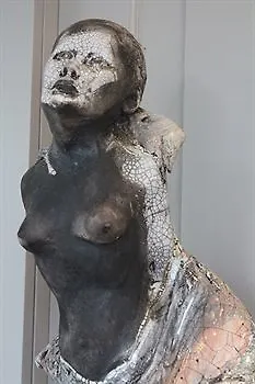 Les Pleiades Hotel-spa-restaurant מלון